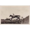 1935, Pardubice Závodiště, Velká Pardubická Steeple Chase, pohlednice,
