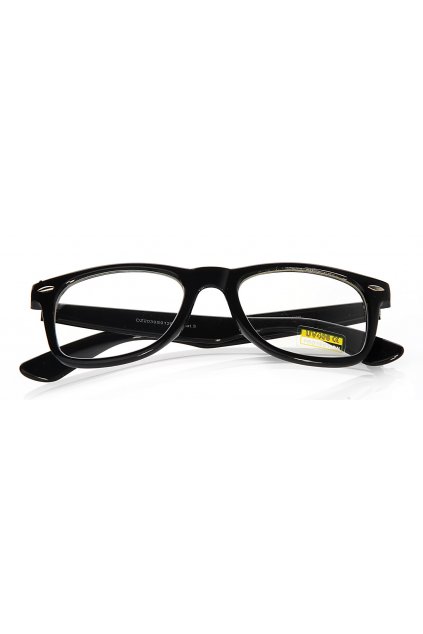 Stylové brýle SB.055