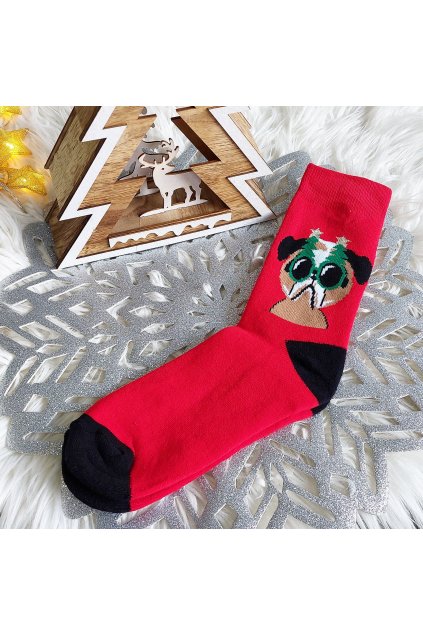 Pánské thermo vánoční ponožky SFV6881RP