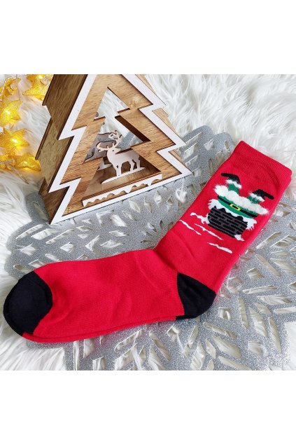 Pánské thermo vánoční ponožky SFV6881RK