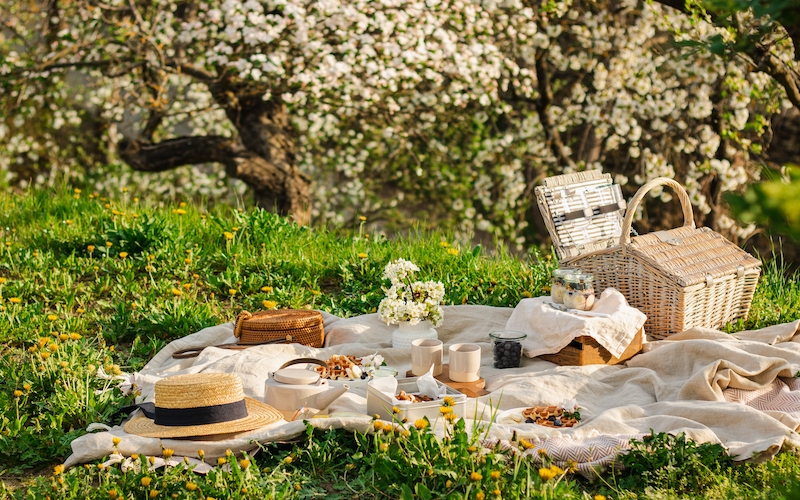 Picknick im skandinavischen Stil: Was Sie auf keinen Fall vergessen sollten