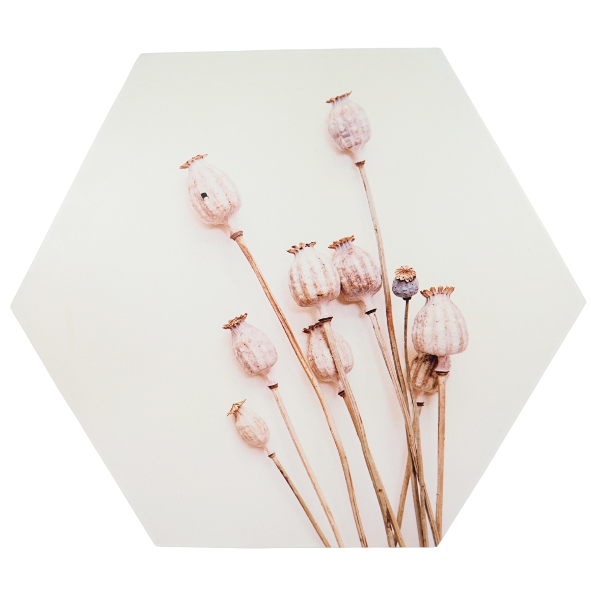 Fali dekoráció POPPY WOOD Ø 58 cm akciós termékkép 1