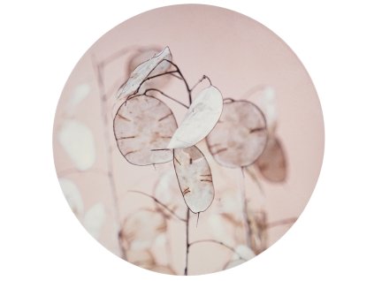 Stylová nástěnná dekorace JUDAS MEDAL Ø 58 cm s jemným přírodním motivem