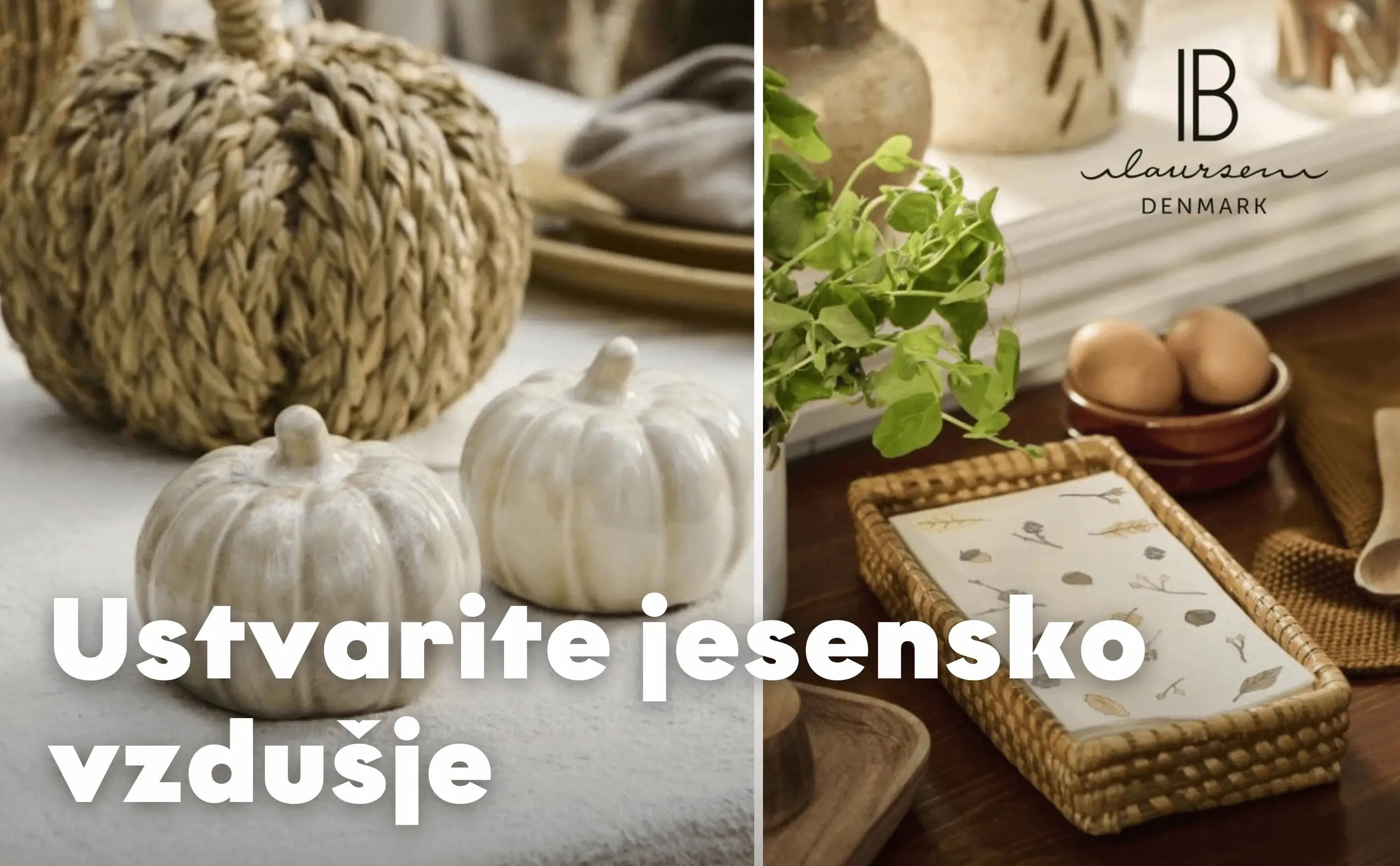 Ib Laursen