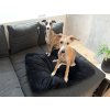 Polštář pro psa/kočku ROYAL PET 75x60 cm, černý s měkkou výplní
