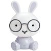 Dětské noční světlo HOPPY s USB napájením. Králíček s brýlemi do každého pokoje.