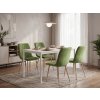 Designová světle zelená sametová židle LAVA do kuchyně i obývacího prostoru