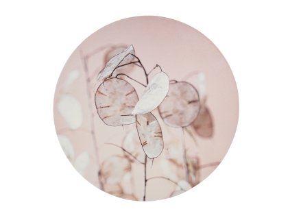 Stylová nástěnná dekorace JUDAS MEDAL Ø 38 cm s jemným přírodním motivem