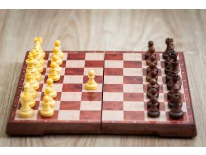 Schach Dame magnetisch