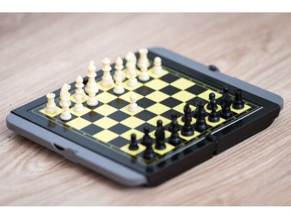 Schachspiel magnetisch