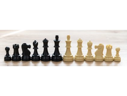 Schachfiguren DGT groß