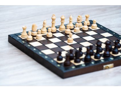 Holzschachspiel und Backgammon klein