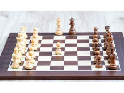 9191 2 sachova suprava renaissance royale