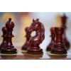 4894 7 4894 7 sachova suprava briar unicorn