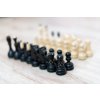 Schachfiguren "Česká klubovka"