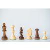 7176 1 7176 1 sachove figurky staunton glaze