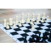 8249 4 8249 4 sachova suprava otto legacy