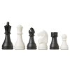 DGT Chess Box Modern Staunton pieces