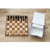 Schachset DGT