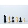 2840 1 sachove figurky staunton kremove