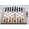 3839 8 3839 8 delux eben sachova suprava judit polgar