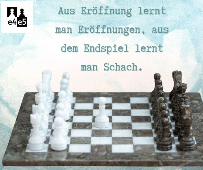 💡 Wir sind uns wohl einig, dass Schach tatsächlich eine unerschöpfliche Quelle von Aktionen und darauf folgenden...