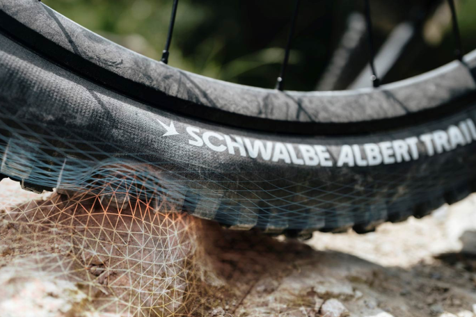 Schwalbe