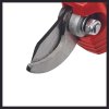 einhell expert cordless pruning shears 3408300 detail image 101