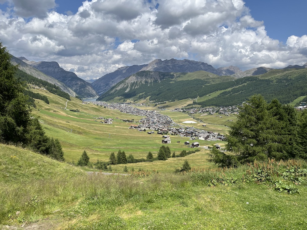 test article about italy