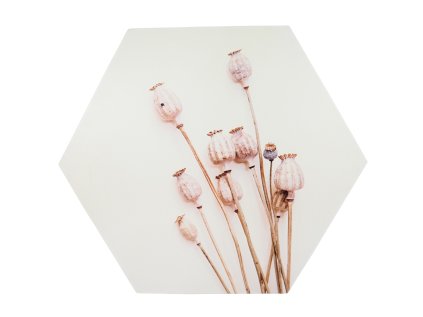 Stylová nástěnná dekorace POPPY WOOD Ø 58 cm s přírodním motivem makovic