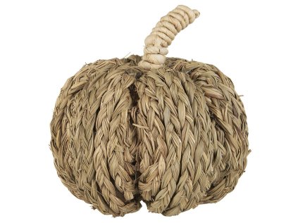 Přírodní dekorace dýně PUMPKIN COACH GRASS pro podzimní výzdobu