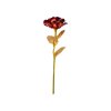 Červená věčná růže se zlatým stonkem SIF jako ideální dárek