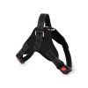 58539 2 cerny postroj pro psa s rukojeti angly l