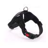 58539 3 cerny postroj pro psa s rukojeti angly l