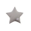 31887 sametovy dekoracni polstarek star silver