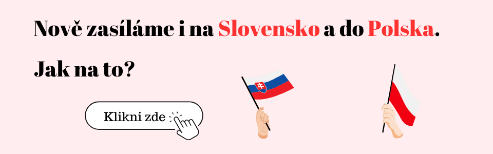 Jak si nechat zaslat balíček na Slovensko nebo do Polska?