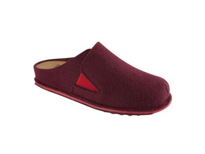 F260001697 SPIKEY5 BURGUNDY LR 17220