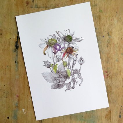 kresba tisk plakatA4 Bagatela1f