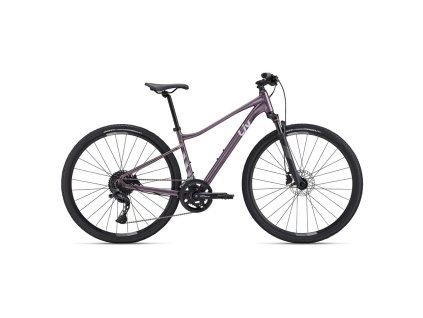 228697 giant rove 1 dd s twilight mauve