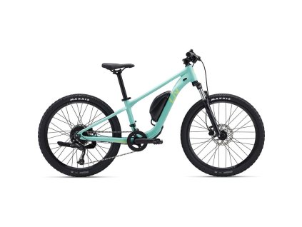 229336 giant tempt e junior 24 one size ocean wave