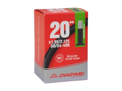 169132 dusa 20x1 95 2 125 av33 50 54 406 vel 20