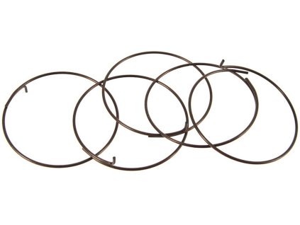 243331 pruzinky fulcrum pre cestne fulcrum a campagnolo orechy