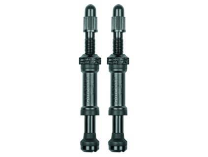 244555 ventil sks airspy valve tl 60mm