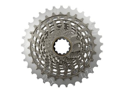 259324 sram am cs xg 1290 e1 10 33
