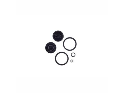 252892 sram caliper piston kit 2 piston 20mm
