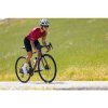 228049 8 giant langma advanced 1 pc s mechanic rose