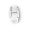 244318 pracka flr buckle white