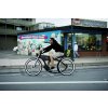 239776 11 ruff the ruffian black red wall 2025