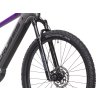 Elektrobicykel Crussis e-Fionna 9.10-(720 Wh) 2025 (Veľkosť rámu 16”, Priemer kolies 29”, Farba bicykla šedá)