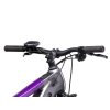 Elektrobicykel Crussis e-Fionna 9.10-(720 Wh) 2025 (Veľkosť rámu 16”, Priemer kolies 29”, Farba bicykla šedá)
